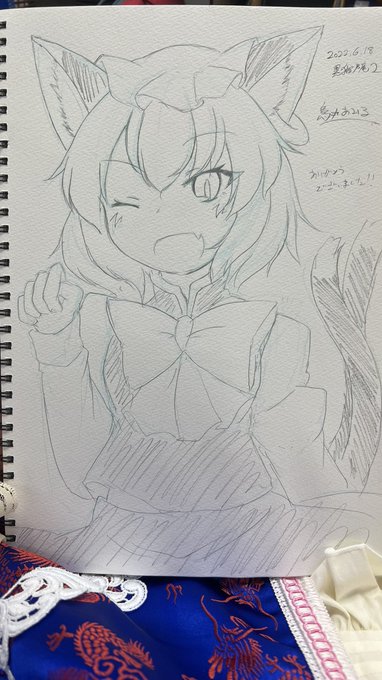 橙ちゃんスケブ🐈 