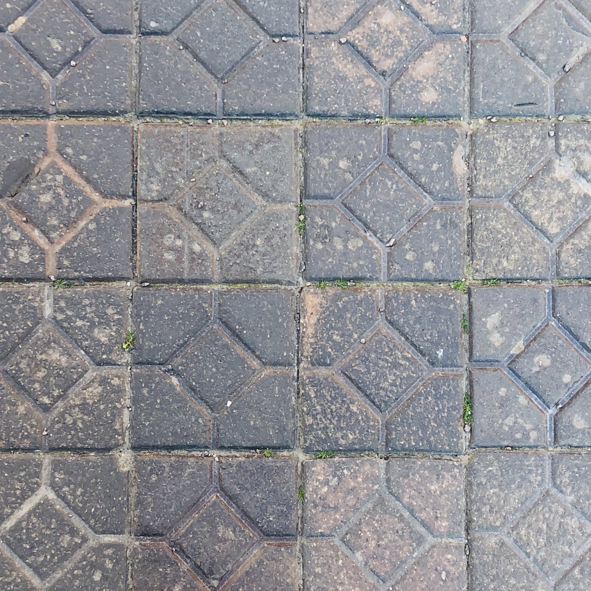 nomad_penguin's tweet photo. Some #patterns from looking down in Sweden in 2019. #MathPhoto2022 https://t.co/18yMTKrheh