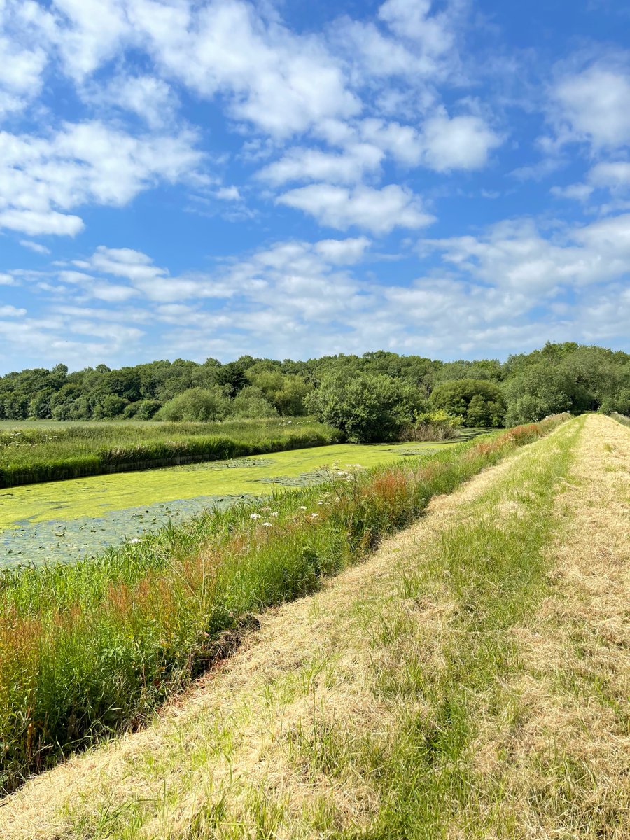 NorthKestevenDC's tweet photo. While the sun might not have its hat on today ⛅️ why not run through the line-up for the NK Walking Festival 2022 and plan your next adventure? 👞 
There's a whole range of walks to suit everyone, starting from this weekend through to 3 July: https://t.co/bAD6rayzeG https://t.co/JJODTHEJnP