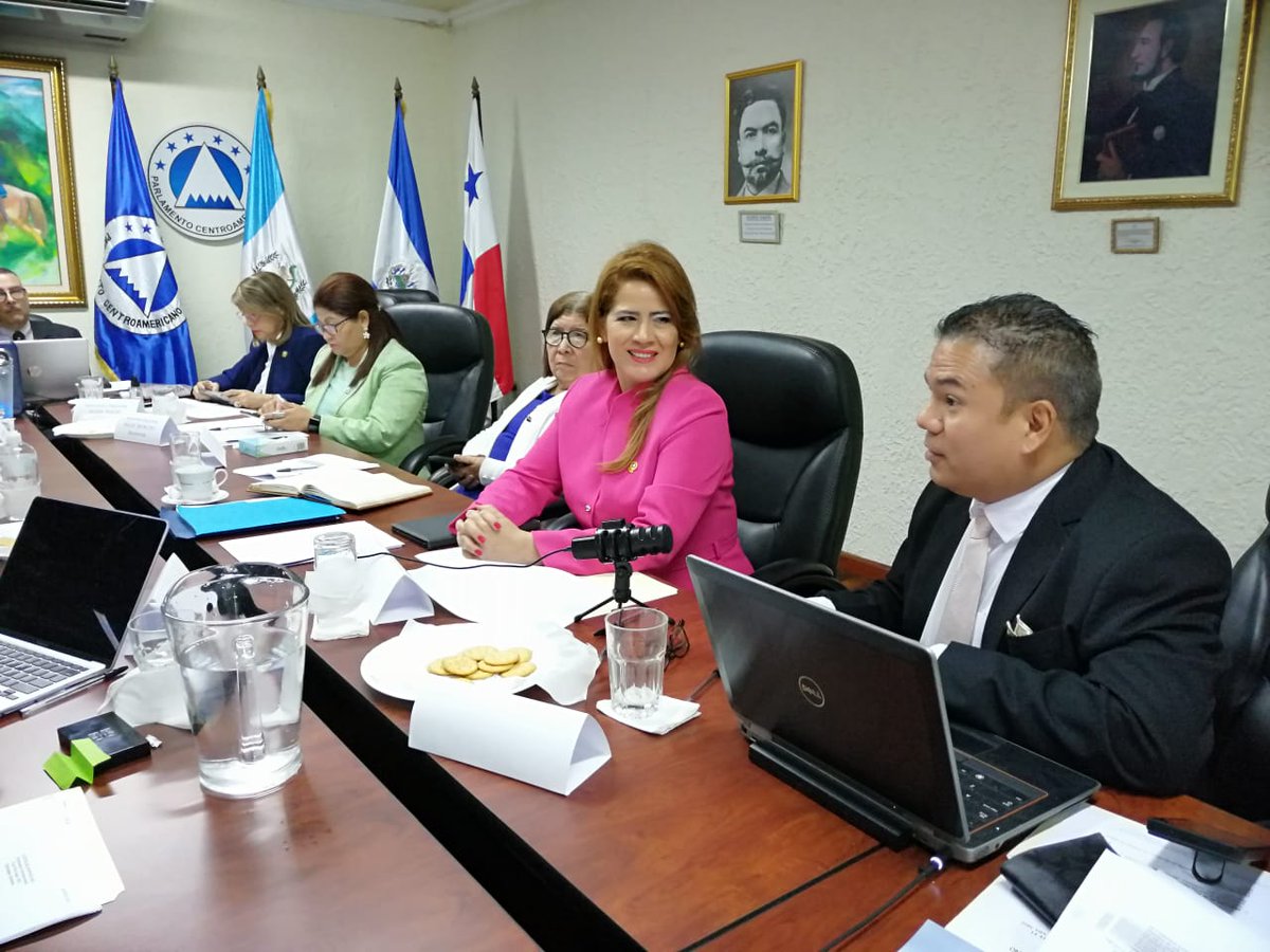 PARLACEN's tweet photo. En Honduras se desarrolla período de sesiones de Junta Directiva @PARLACEN  encabezadas por Vicepresidente HD Engels Pineda, con amplia agenda previa a Sesión Plenaria de junio, que incluye diferentes actividades programadas https://t.co/aGuPPIlgmM