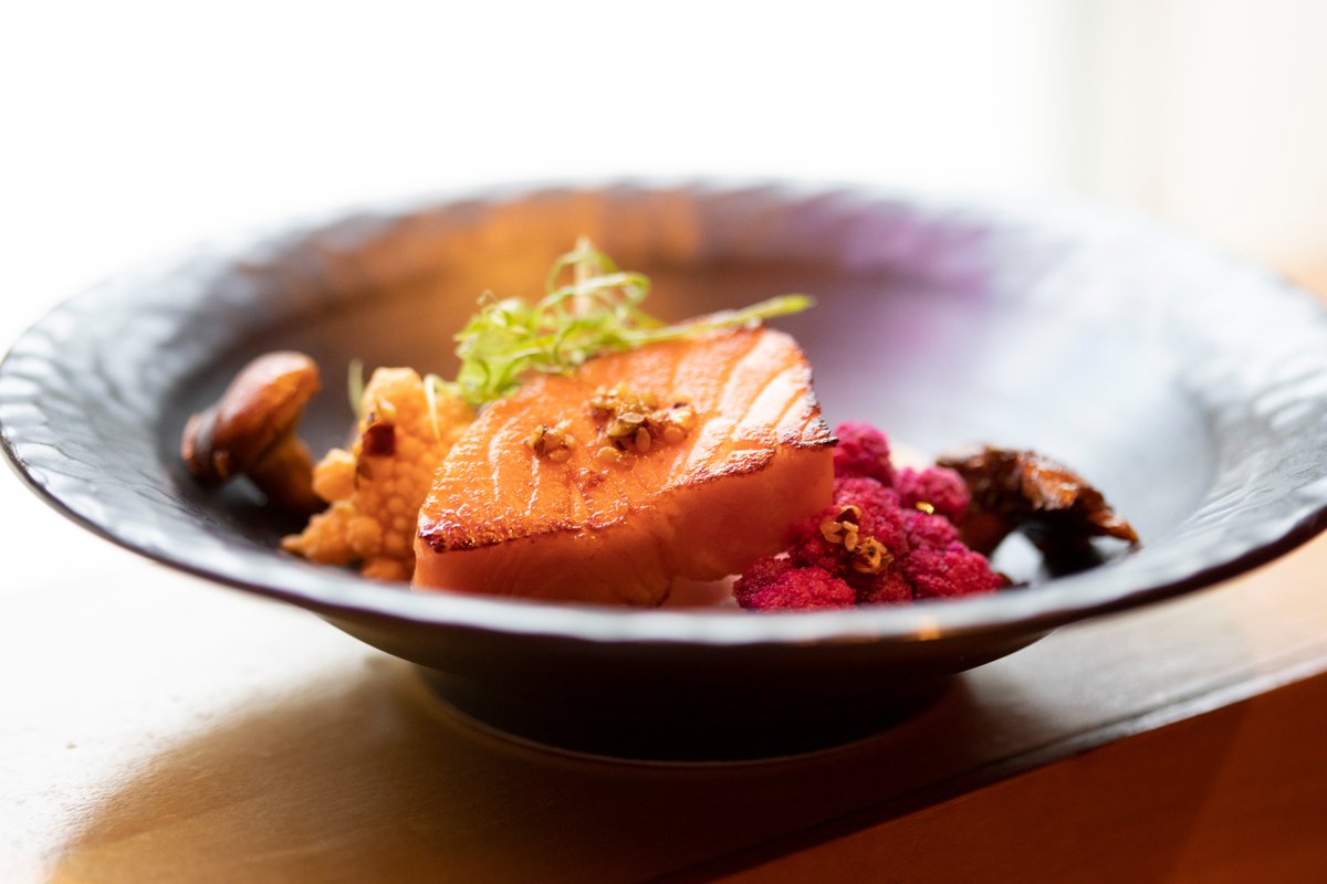 Postelsia tweet media