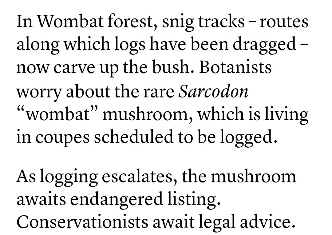 JCrooka's tweet photo. Will you remove coupes from the area where the rare Sarcodon "Wombat” occurs and nowhere else in the world @MaryAnneThomas @LilyDAmbrosioMP https://t.co/8Xud0onSz9