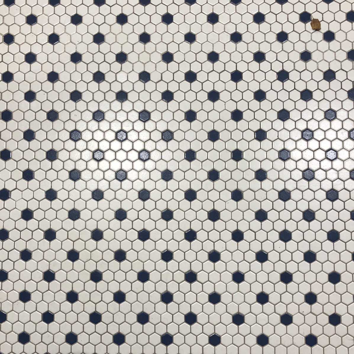 nomad_penguin's tweet photo. Still looking down at #patterns around the world in 2018. #MathPhoto2022 https://t.co/n1lDC0zRxf
