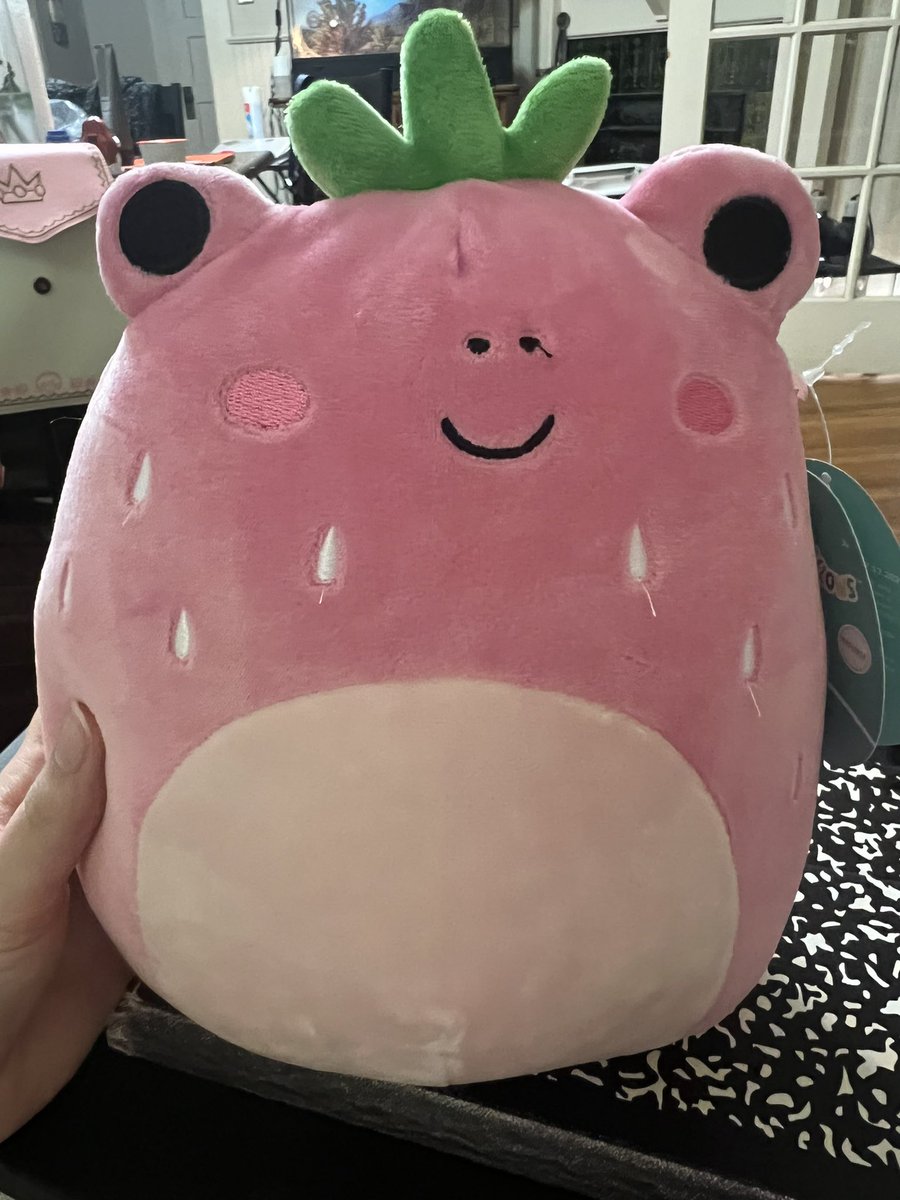 rotten_ivy's tweet photo. I have obtained ✨her✨ #squishmallow #adabelle #frog https://t.co/XDubR05rhK