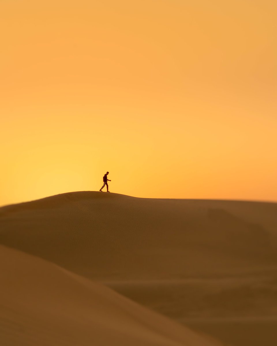 mohitnaikade's tweet photo. GM frens!

🚨EDITION UPDATE ALERT!🚨

My ‘The Golden Walk’ edition Collection 
With more sales coming up we have now
9/20 available at 0.025 ETH.

Grab yours now!

https://t.co/sqVXLXo312

#NFTCommunity #NFTeditions #NFTdrop https://t.co/r9mclo0mJB