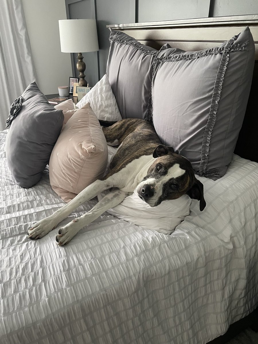 Jackson LaCroix (@jacksonlacroix) on Twitter photo 