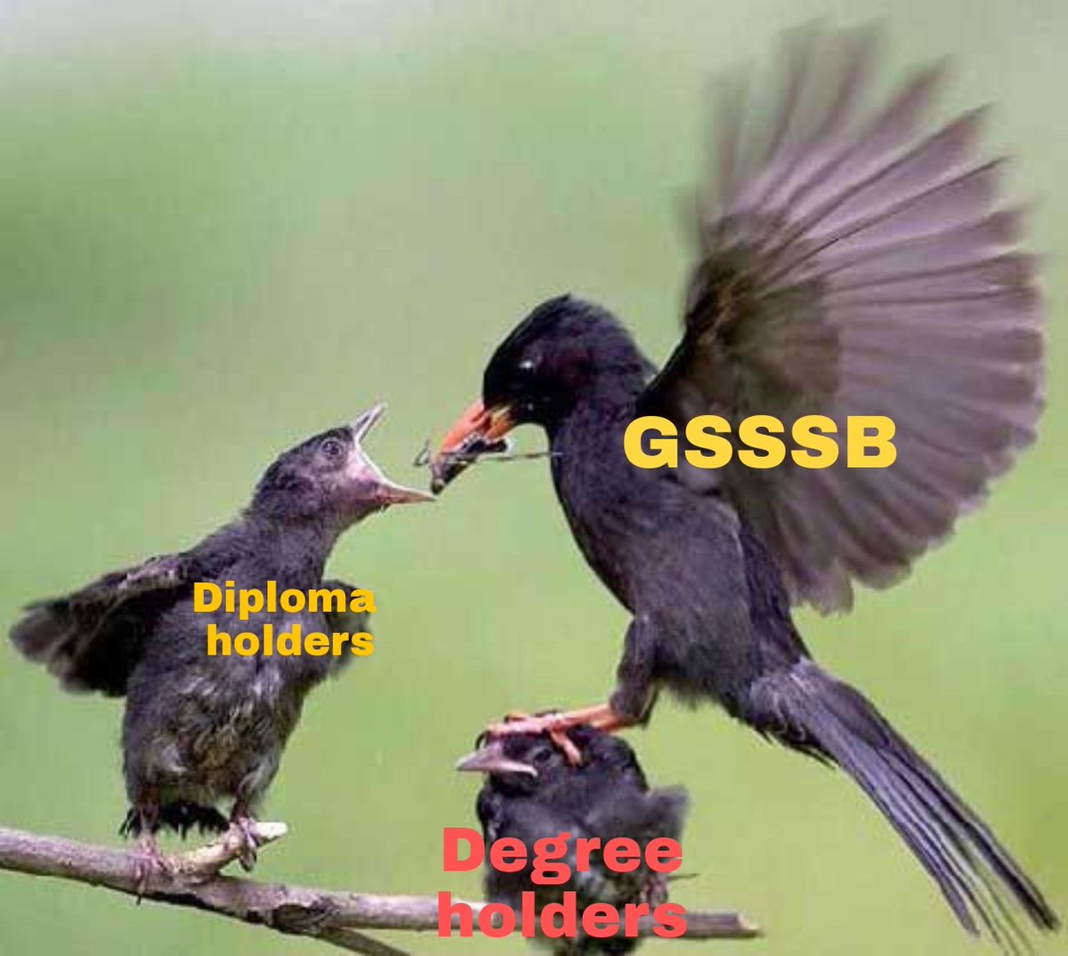 aspirantme25's tweet photo. @AKRAKESHIAS1 આ તે કેંવા ભરતી નિયમો...??!!!
ADVT. GSSSB/207/202223
ADVT. GSSSB/209/202223
@BJP4Gujarat 
@Bhupendrapbjp 
@ADevvrat 
@GSSSB_OFFICIAL 
@sanghaviharsh 
@YAJadeja
@devanshijoshi71
@SidDholakia
@GSTV_NEWS 
@VtvGujarati 
@sandeshnews 
@abpasmitatv 
@Zee24Kalak https://t.co/08Kg69wYFX