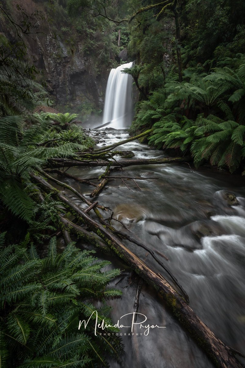 Who loves editing Greens? Its a love hate thing!

#landscapephotography #waterfalls #otways