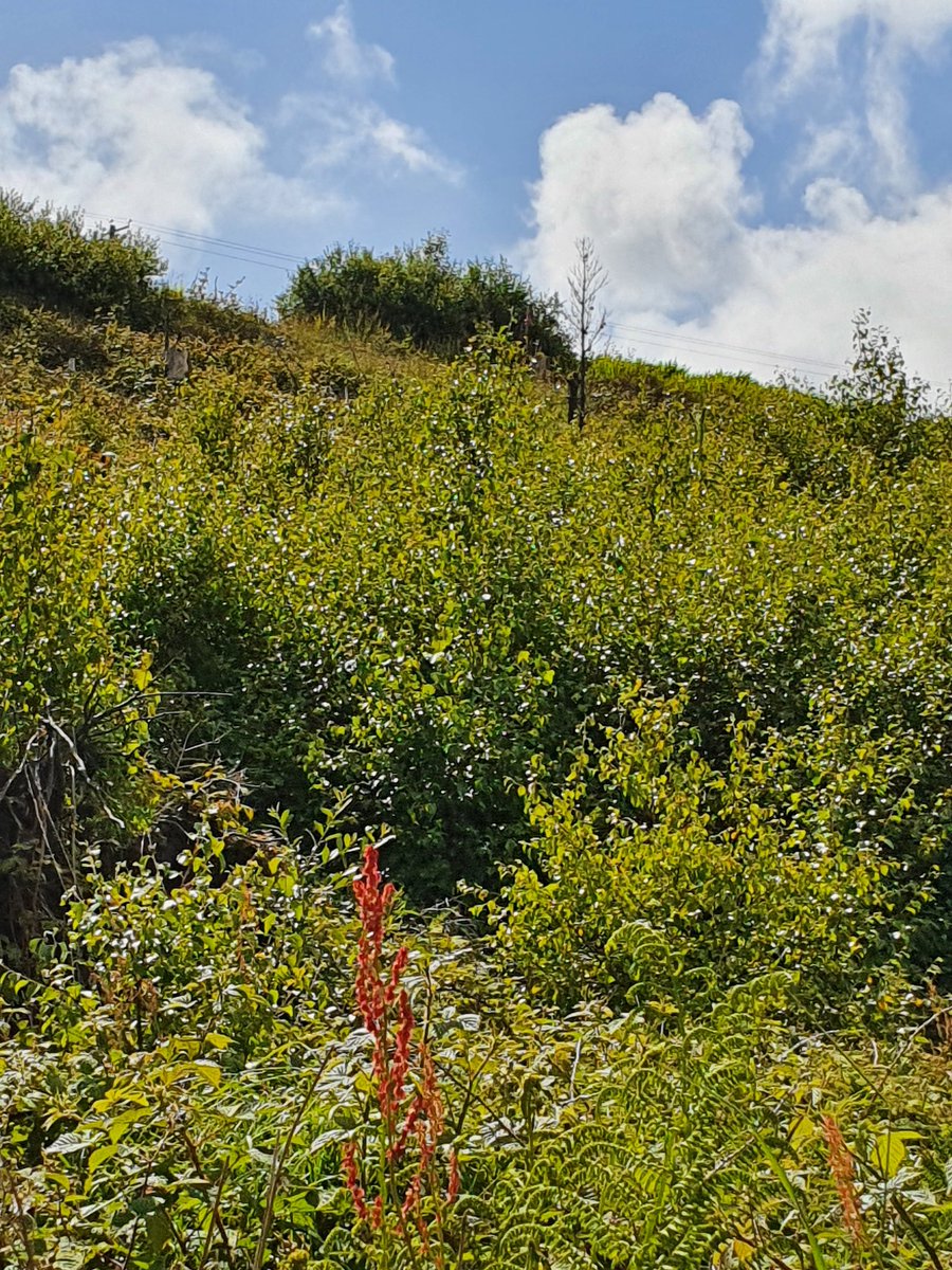 Eoghan Daltun 🌍 tweet media