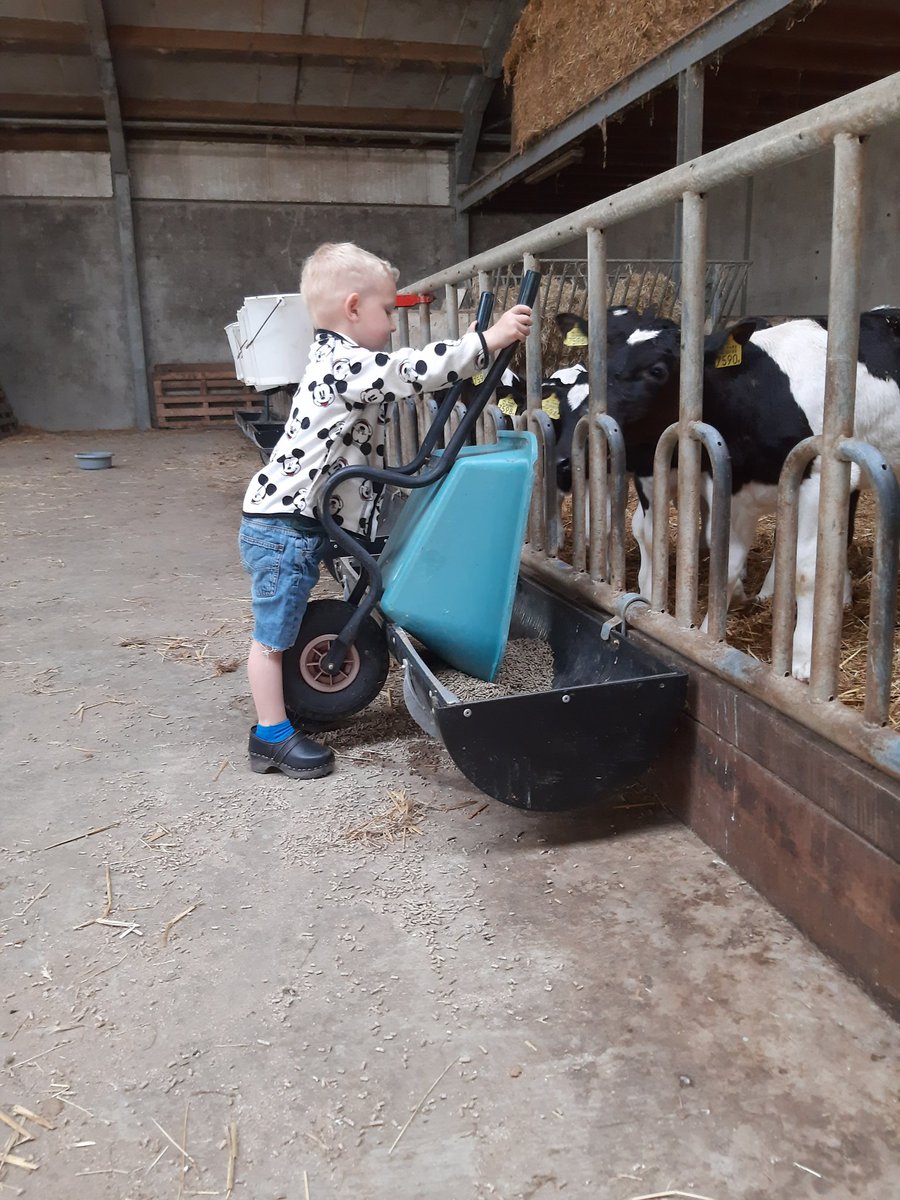Kalfjes voeren #FarmLife
