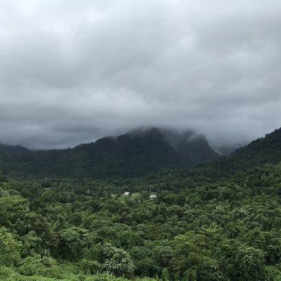 005_Engineer's tweet image. #NewProfilePic