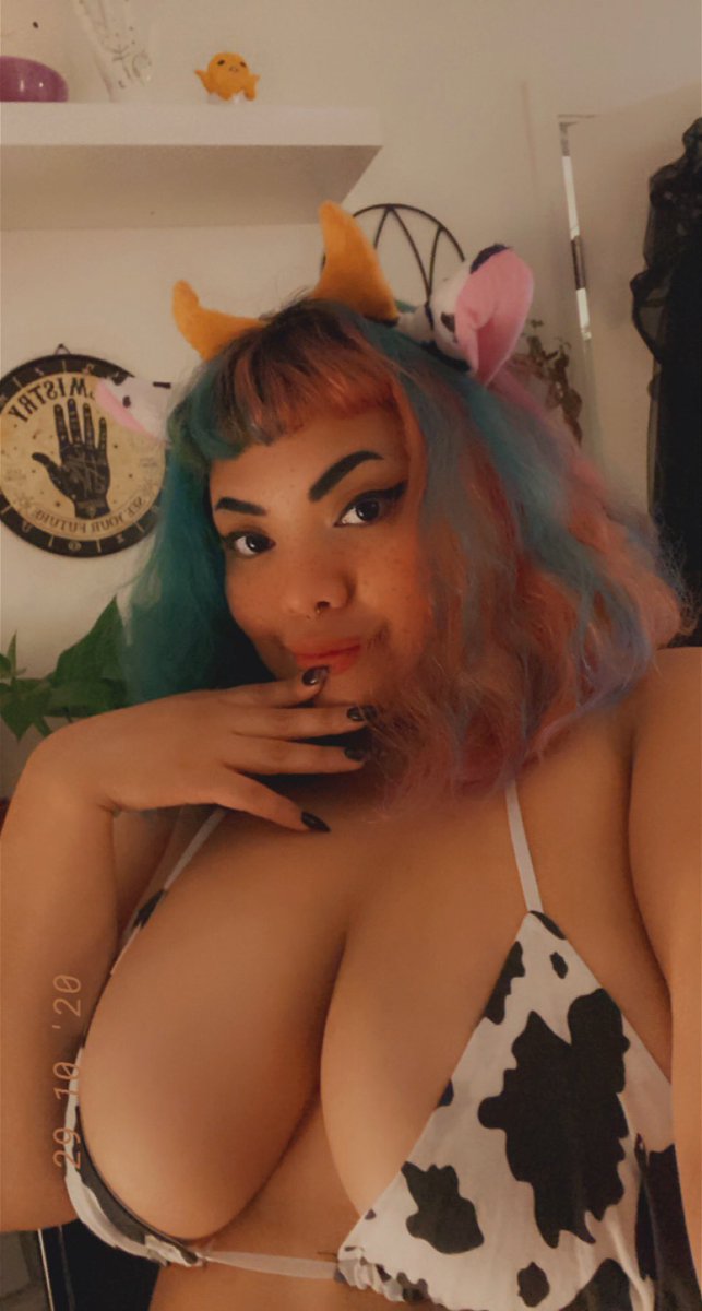 sleepykoh's tweet photo. ‧͙⁺˚*・༓☾ New Pinned ☽༓・*˚⁺‧͙

☾ Koh 
☾ 5' and breedable 
☾ switch (mainly sub)
☾ latinx 
☾ chonky 🦝
☾ links for more fun in bio 💕
☾ like + rt for moots!!! 

#nsfwtw https://t.co/1mUENWL3gl