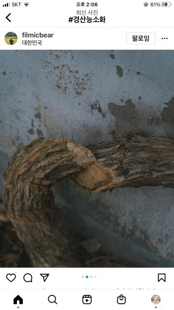 경북 경산에는 요맘때부터 피는 능소화가 예쁜 적산가옥이 유명한데 올해부터 더 이상 볼 수 없다는 소식. 
누군가가 밑둥을 잘라 버렸다고. 

사진은 인스타그램에서 #경산능소화 로 검색한 것들