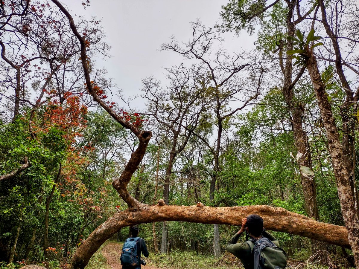 DuttaDeborah's tweet photo. There is so much to learn from just watching birds. There is so much to appreciate from the humans watching the birds too! :) https://t.co/yOG8gC2lXp
@Adithi_M #natureeducation #birding #thebirdway https://t.co/mtMidlQb1H