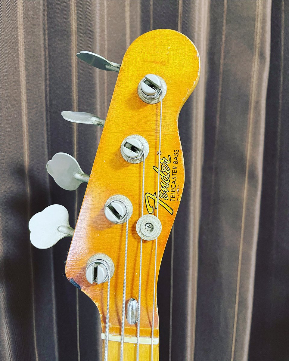 Kottsy_Bassist's tweet photo. My Treasure😆
72’ Fender TelecasterBass
#fenderusa #telecasterbass #fendertelecasterbass #fenderbass https://t.co/I4FAmXhO25