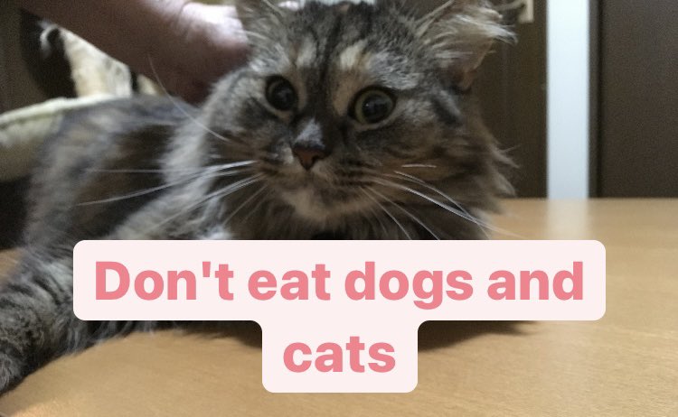 Inco Stopyulin 毎日が ユーリン Yulin365 経済大国の国がなぜ犬猫を食べるの 笑いながら殴り殺してるんだよ 苦しめば苦しむほど美味しくなると思われてるんだってさ 愛犬家語るなら中国の犬も日本の犬も同じです 助けてあげてください 協力し Inco Stopyulin 毎日が ユーリン Yulin365 経済大国の国がなぜ犬猫を食べるの 笑いながら殴り殺してるんだよ 苦しめば苦しむほど美味しくなると思われてるんだってさ 愛犬家語るなら中国の犬も日本の犬も同じです 助けてあげてください 協力し