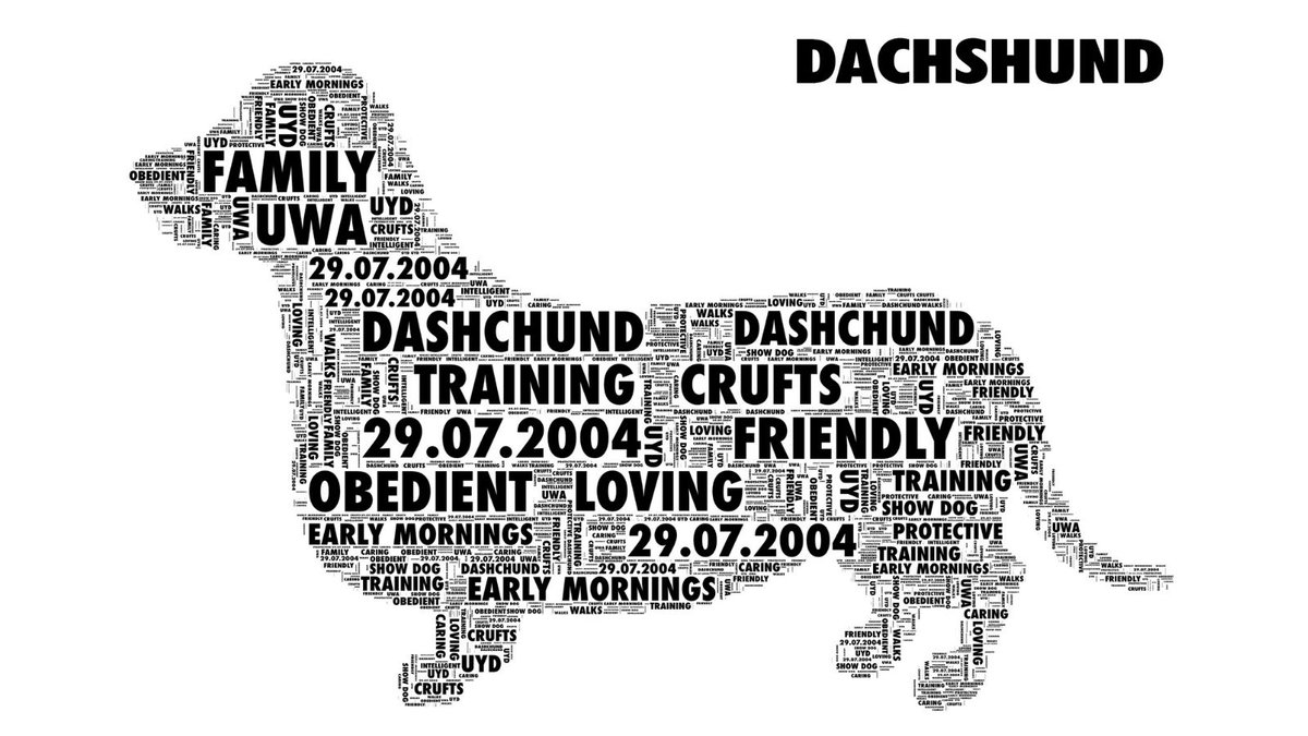 New_World_Vibe's tweet photo. Border Collie, Cockapoo, Poodle and Dachshund Personalised Word Art Print for a unique gift and keepsake. https://t.co/cDRfrY5ZoV #SPBoost #KPRS https://t.co/6hy0GCvW7G