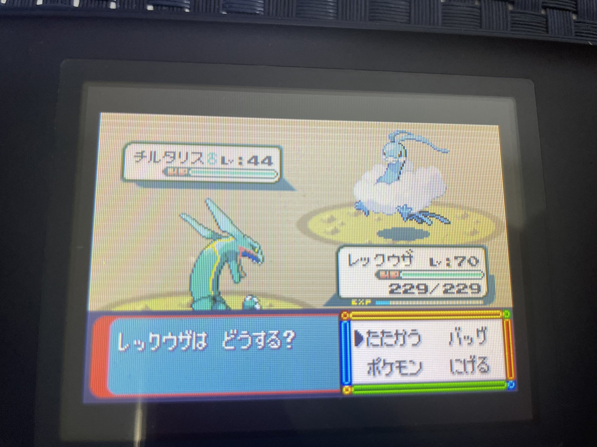 アペピリカ ポケモン垢 Apepilika Twitter