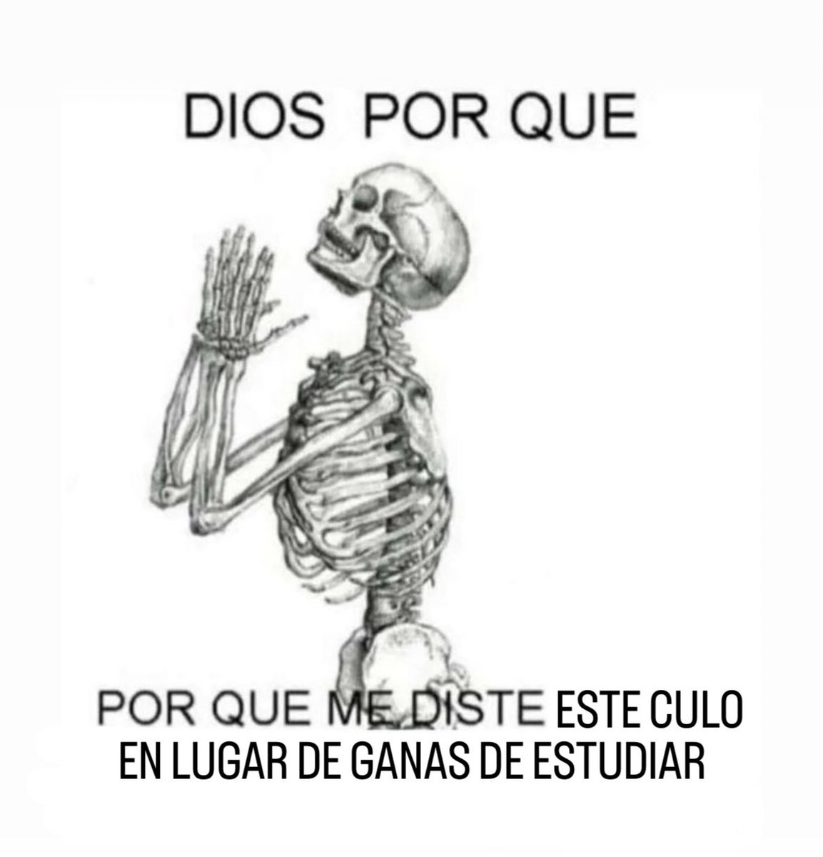 Wuolah (@wuolah) on Twitter photo 