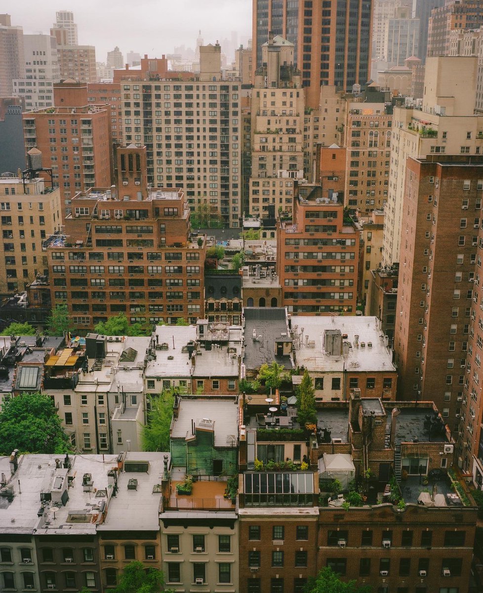 Laid Back Dreamer Club (ASIA)🚬NFT.NYC tweet media