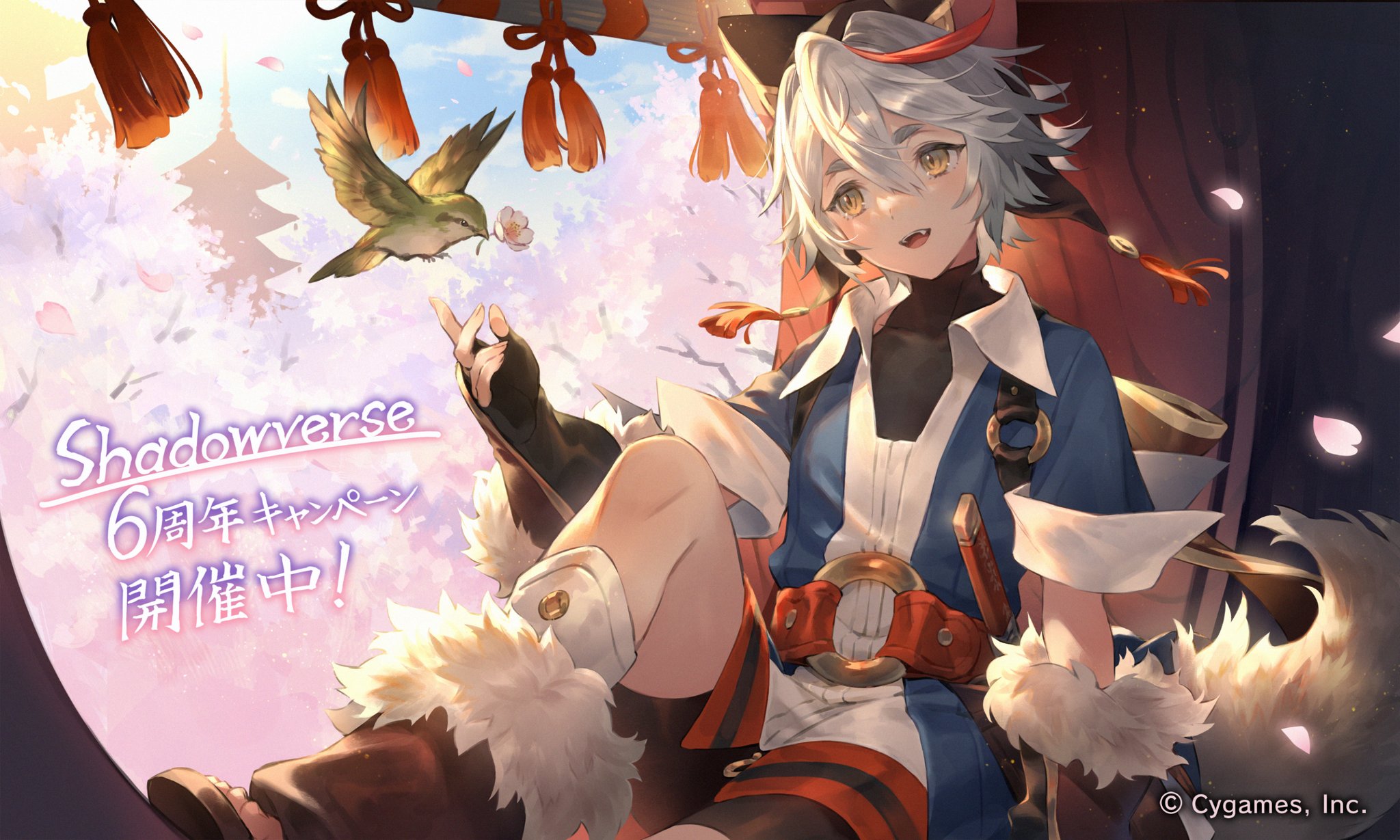 2022新春福袋】 Shadowverse VISAカード発行記念キャンペーン「高精細
