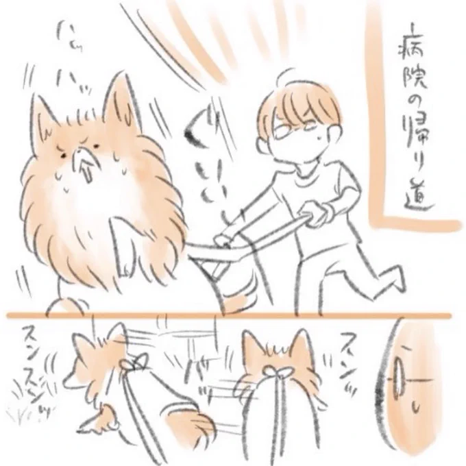 解放感からか、帰り道はいつも同じ草むらで💩していたイッヌ 