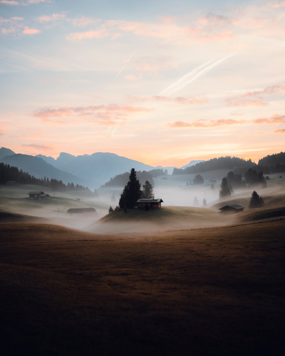 michaelboegl's tweet image. GM ☕️ NFT Artists and Collectors 🎨