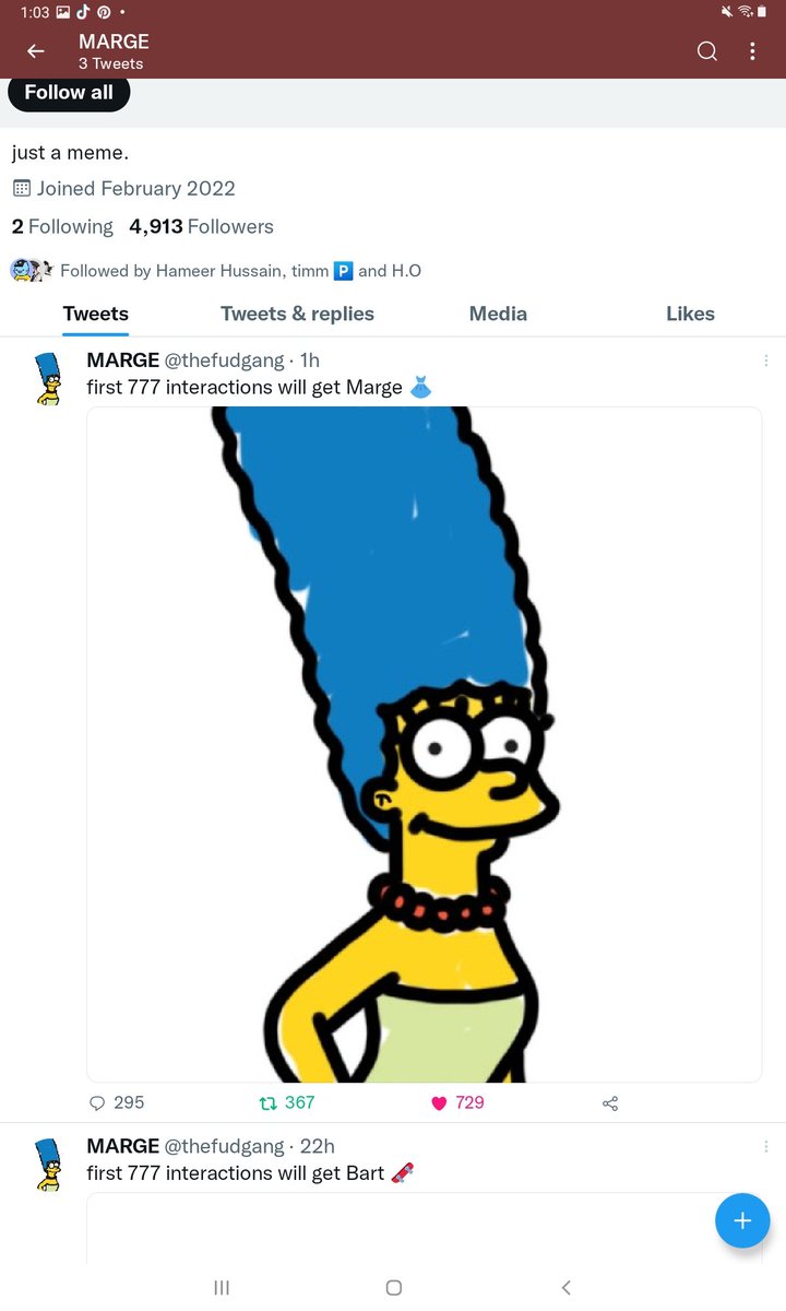 Mangoose💎 tweet media