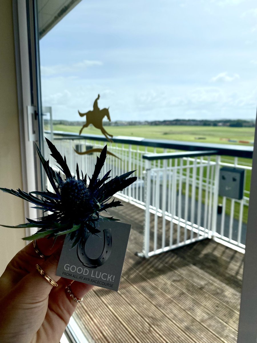 ACTConstruct's tweet image. #TeamACT up &amp;amp; at it today for some team bonding!! 🏇 @ayrracecourse