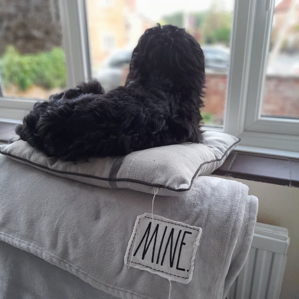 NikiBotterill's tweet photo. Neighbourhoodwatch https://t.co/KDNU2ufHJJ