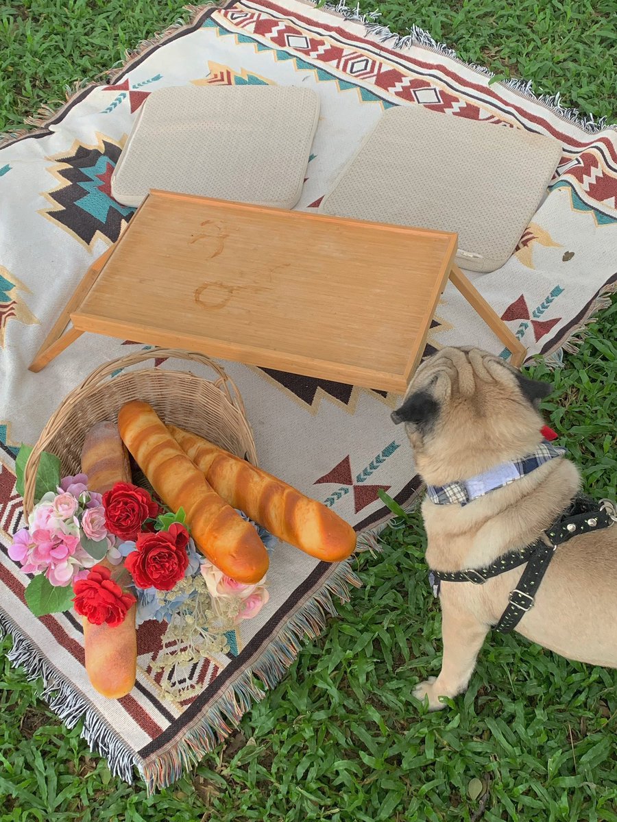 wanderlust tweet media