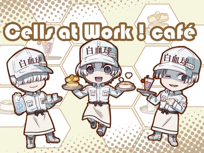 Bk二次専さん の人気ツイート 1 Whotwi グラフィカルtwitter分析 Bk二次専さん の人気ツイート 1 Whotwi グラフィカルtwitter分析