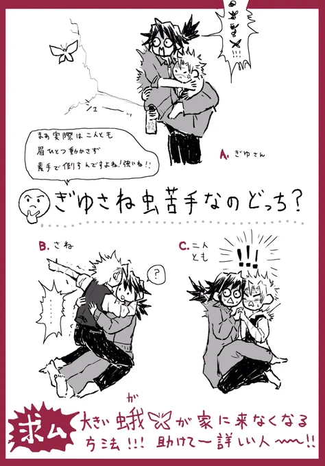 虫に悩む同志の方に届けたい😭大きい蛾が家に来なくなる対策わかる方、どうぞ教えてくださいませ🙏 