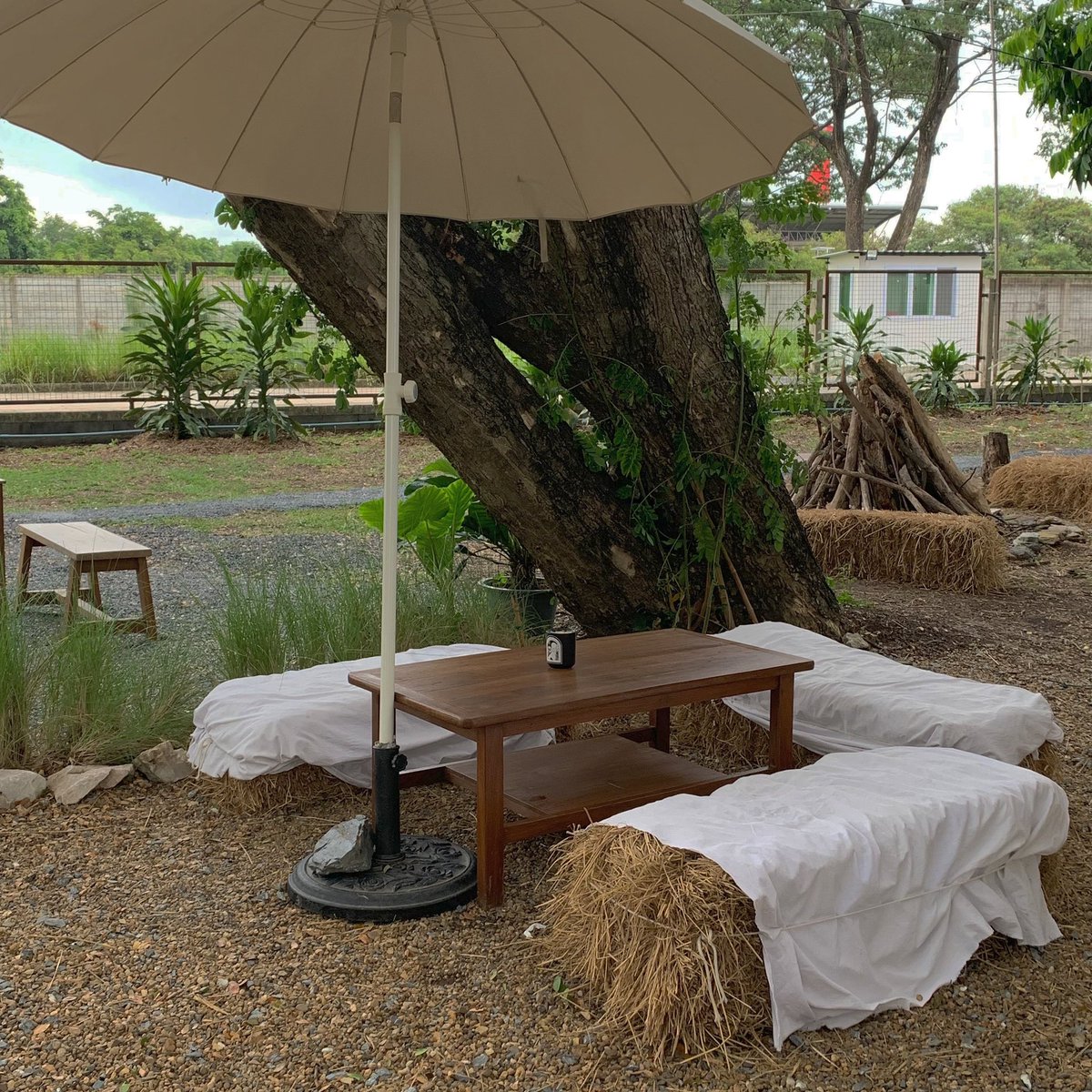 wanderlust tweet media