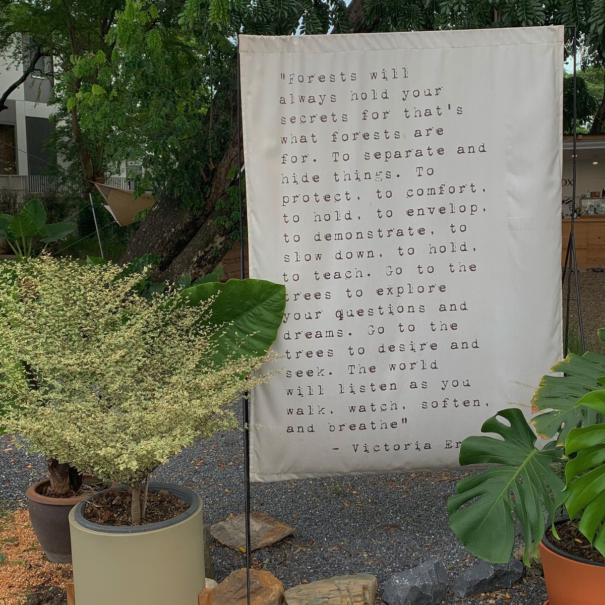 wanderlust tweet media