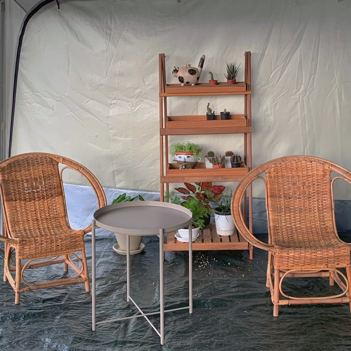 wanderlust tweet media