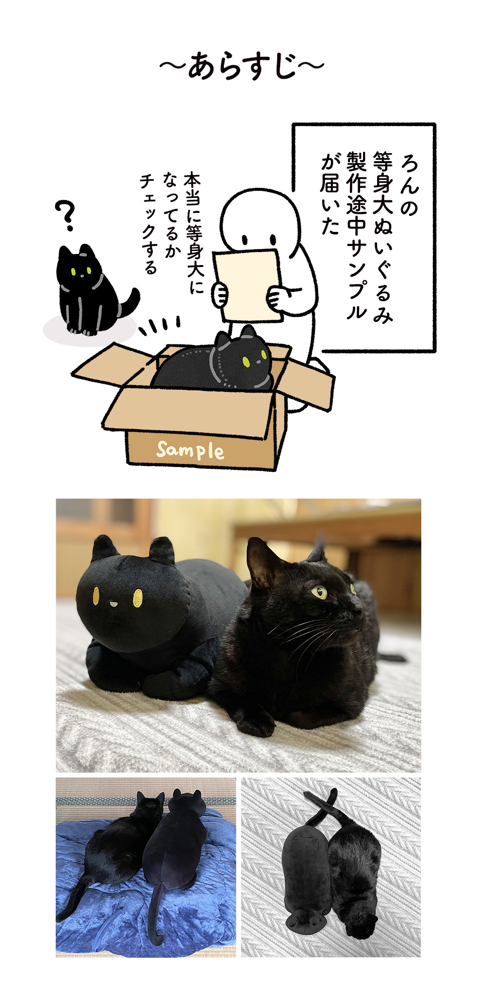 Akr 4巻でました 自分の等身大ぬいぐるみと出会ったろんが ぬいぐるみのことひと目で大好きになってたり ちょっと嫉妬したりしててあまりにもかわいかった という絵日記 ろんの絵日記 T Co Xhdtcti7zh Twitter