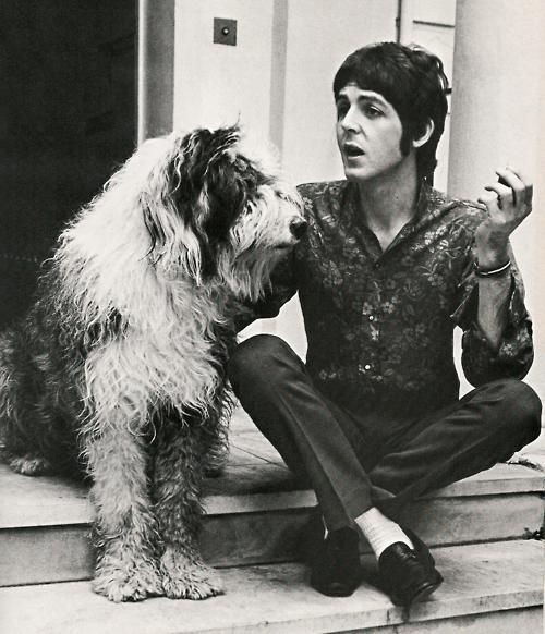 Happy birthday Paul McCartney. The toppermost of the poppermost. 