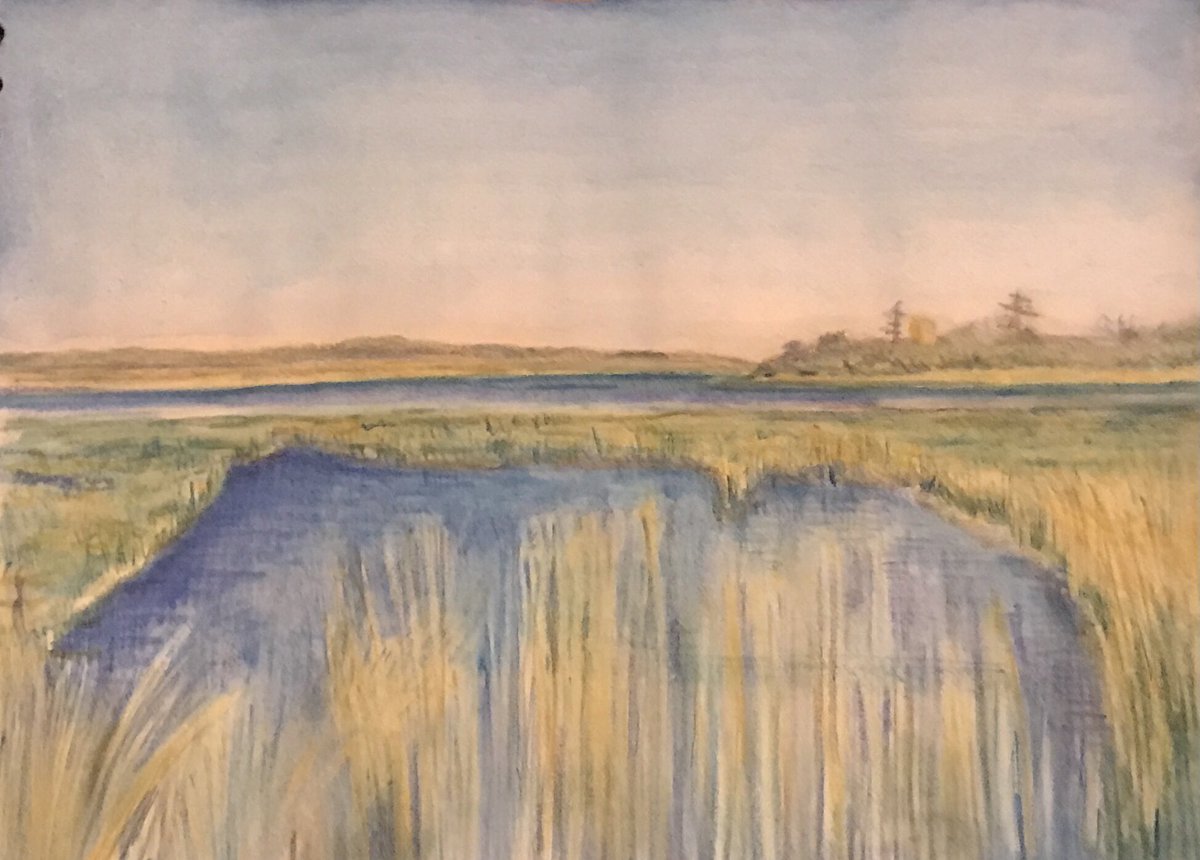 susiehammondart's tweet photo. Work in progress with watercolour pencils and brush at the moment @susiehammondart @SOSestuary #suffolk #iken #drawing #suffolkcoast #suffolkartist #suffolkillustrator #suffolkblogger #suffolklife #blessedtoliveinsuffolk #eastanglianart #riveralde https://t.co/oZYkUf7qOi