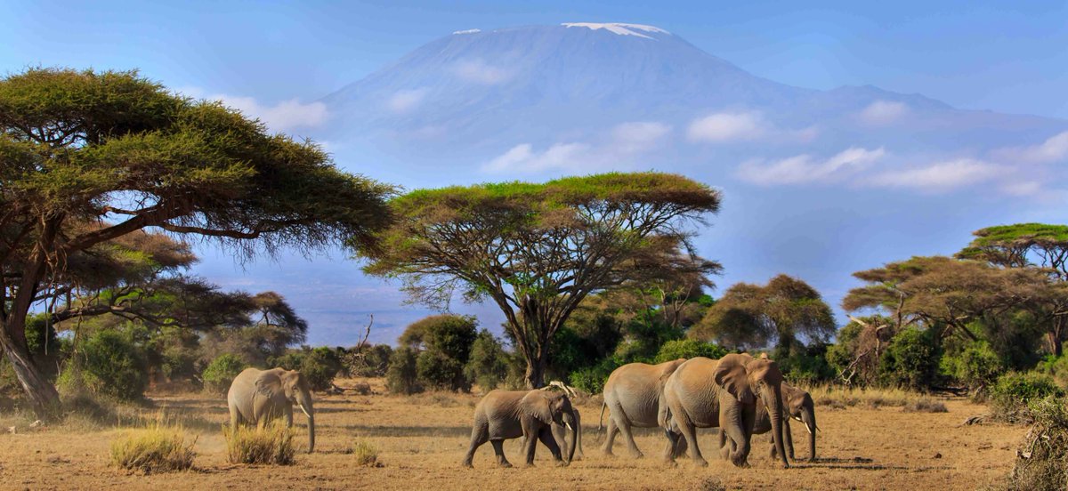 VJulesVerne's tweet photo. Keen to see #Kenya? With visitor numbers to this amazing country yet to recover to pre-2020 levels, there’s never been a better time to #experience its #wildlife wonders in uncrowded bliss. https://t.co/ZzWiMcAAGw https://t.co/ndrstStVit