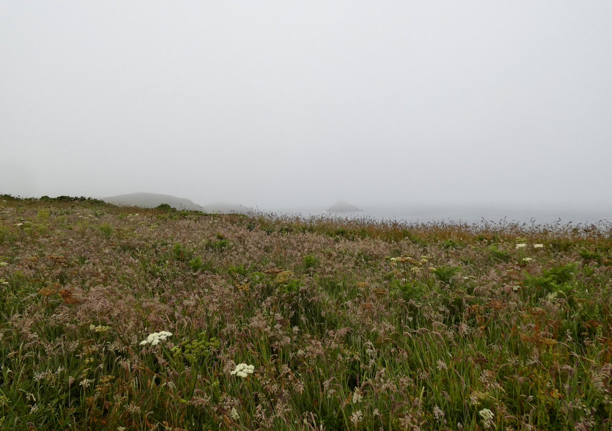 CliffsideKatie's tweet image. #whatheatwave