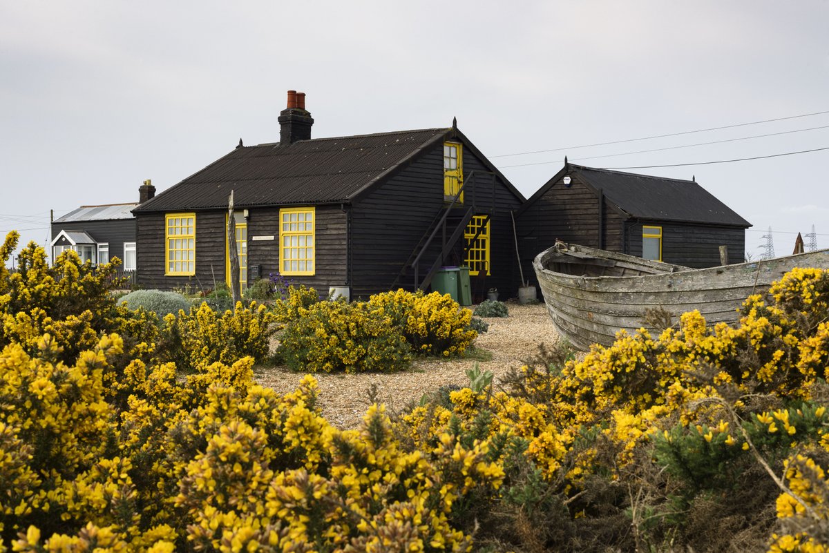 Don't miss your chance to go inside #ProspectCottage, the former home and creative space of artist and filmmaker Derek Jarman. 

Book your place on a Prospect Cottage Public Visit - tickets on sale now.  

creativefolkestone.org.uk/prospect-cotta…

#DerekJarman

creativefolkestone.org.uk/prospect-cotta…