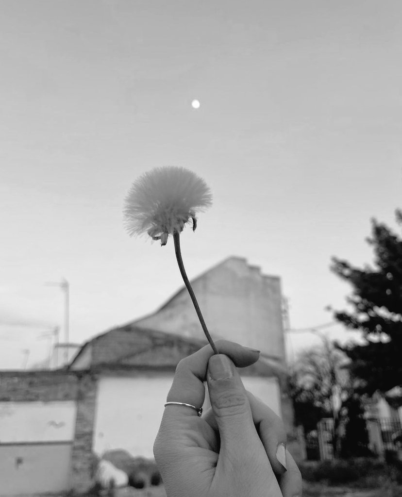 Non tutto ciò che guarisce...
smette di ferire.
Dal silenzio, sfuggono schegge
impazzite, con le sembianze
più di proiettili che sanno...
dove, dover mirare.
Dritti al cuore.
#ventaglidiparole
youtu.be/w_AeBr6kGDA