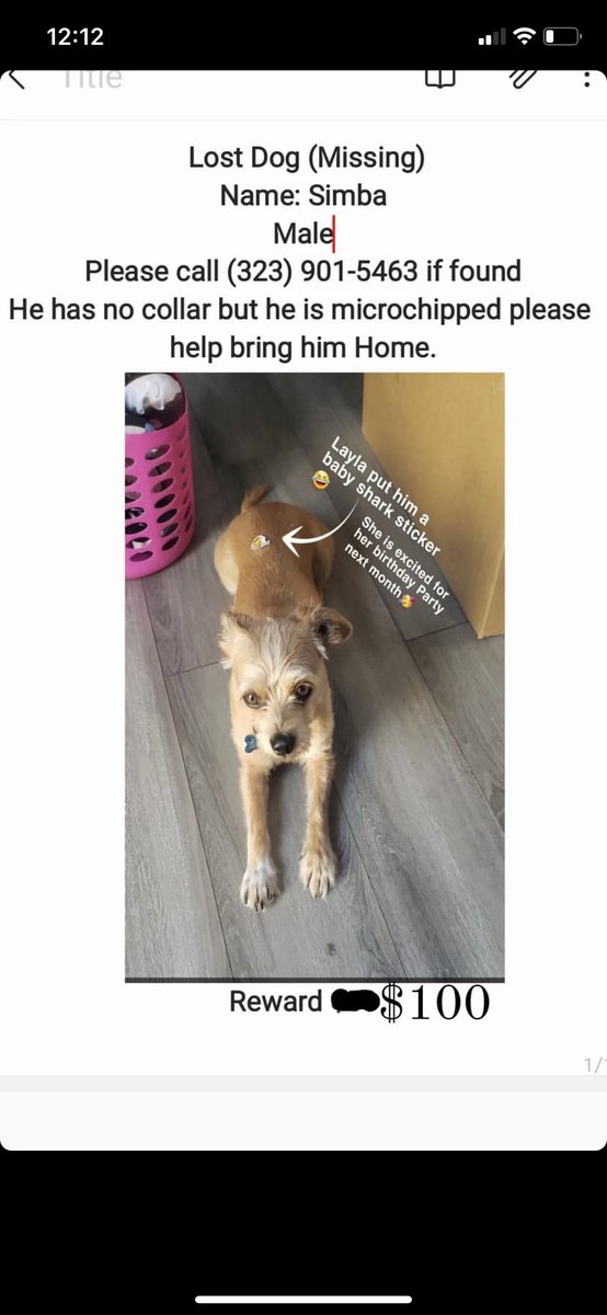 Jimmya_21's tweet photo. Anyone that is in the city of HP please help my sister and I find her dog. He never runs away after having him over 7-8 years. He ran out the house when no one was looking due to fireworks presumably. But anyone near HP/Southgate/Cudahy area please help any information if you 1/2 https://t.co/8f8L1o2a75