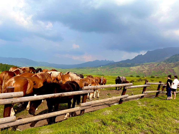 突如🐴ーーーーーー!!!!!!大きいねぇ! 
