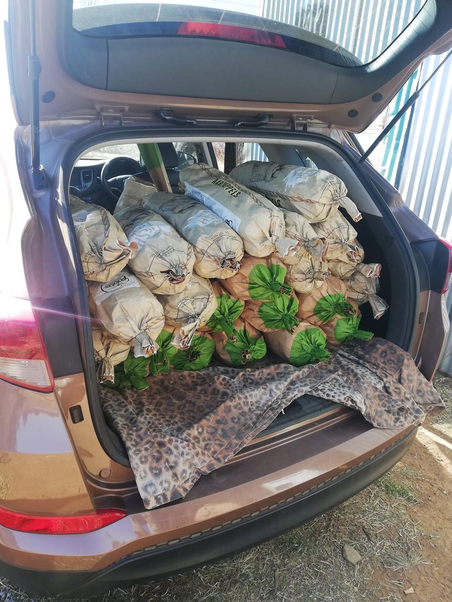 Agric_young's tweet photo. Meet Siyabonga Kok, a young JHB based #farmer🧑���‍🌾🙌🏿🔥 he is producing vegetables &amp; livestock. “#Farming is my passion🌾” says Kok.

#MacG #petrolprice Black Coffee #YOUTH Something Soweto Samkelo Rupert Arthur Fraser Gayton Beatrice Proteas Tristan Ibiza Thabo Mbeki #PhalaPhalaGate https://t.co/IOna6LquhB