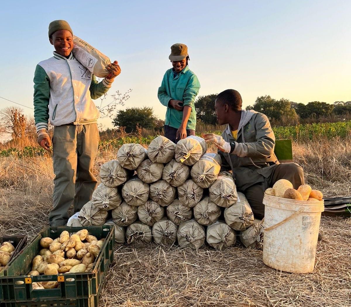 Agric_young's tweet photo. Meet Siyabonga Kok, a young JHB based #farmer🧑���‍🌾🙌🏿🔥 he is producing vegetables &amp; livestock. “#Farming is my passion🌾” says Kok.

#MacG #petrolprice Black Coffee #YOUTH Something Soweto Samkelo Rupert Arthur Fraser Gayton Beatrice Proteas Tristan Ibiza Thabo Mbeki #PhalaPhalaGate https://t.co/IOna6LquhB