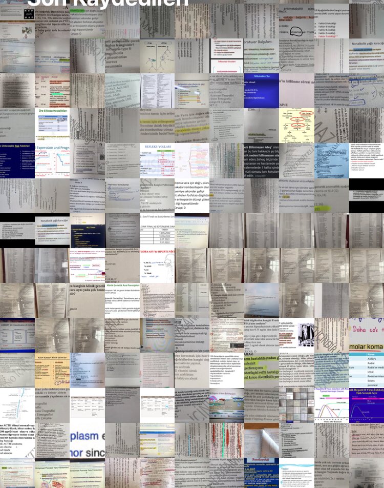 Aynen canım haziran foto dump