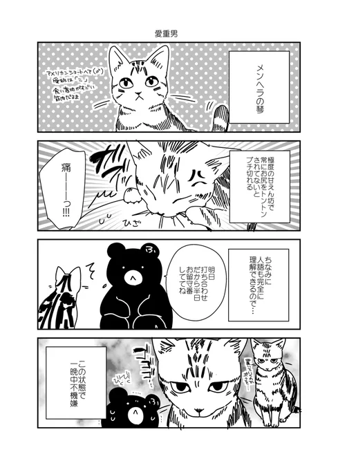 限界漫画家の家の猫② 