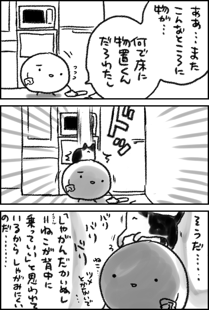 気が付くとねこがのってる 